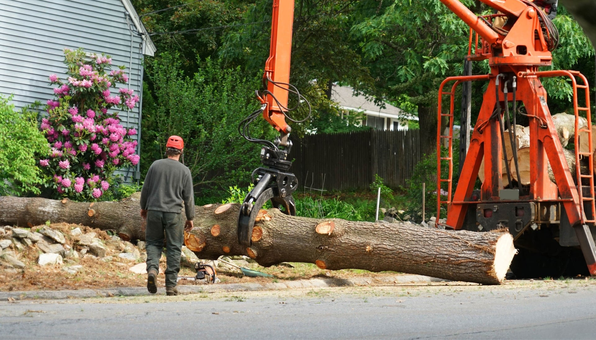 Local partner for Tree removal services in Greensboro