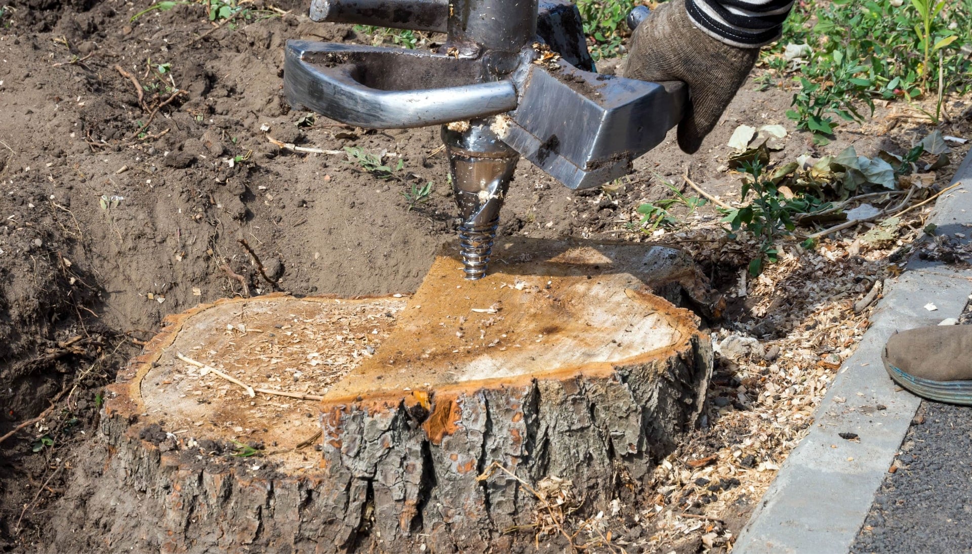 Greensboro Tree stump removal